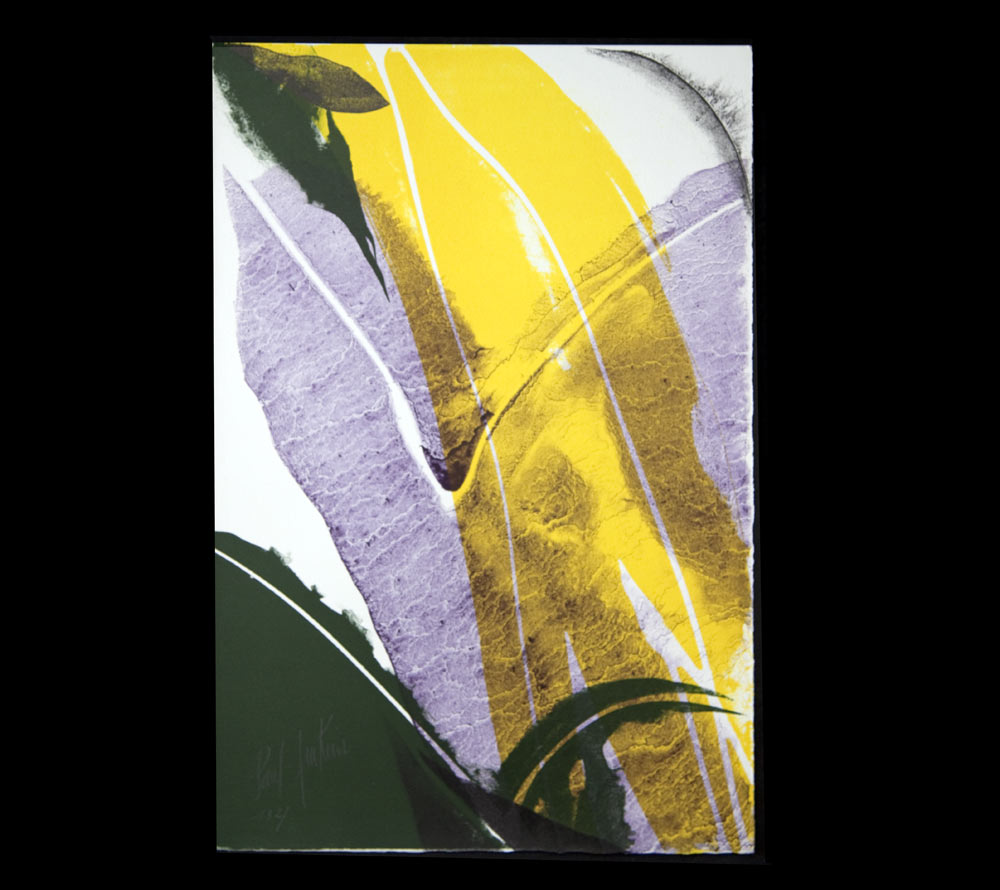 Paul Jenkins Hand Signed Lithograph