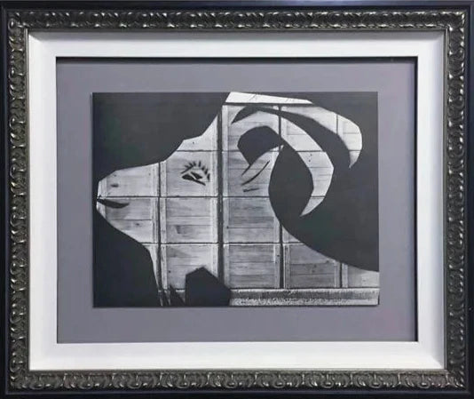 Pablo Picasso Lithograph Ltd. Ed. Pochoir : La Chevre