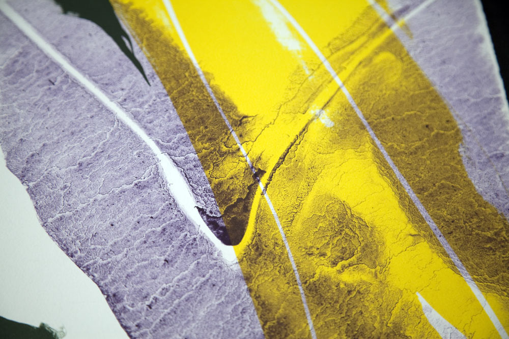 Paul Jenkins Hand Signed Lithograph
