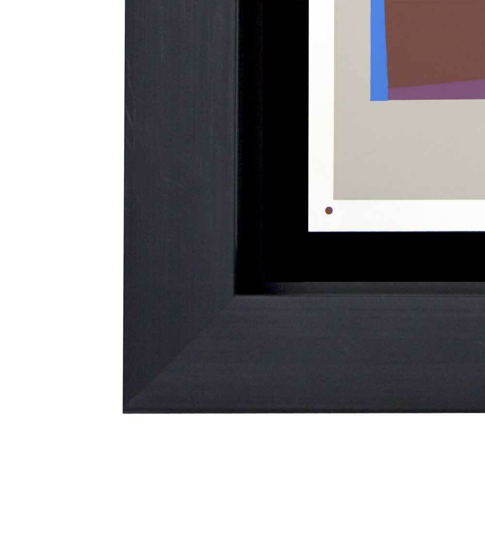 Josef Albers Original Silkscreen [XVIII-6b] Limited Ed