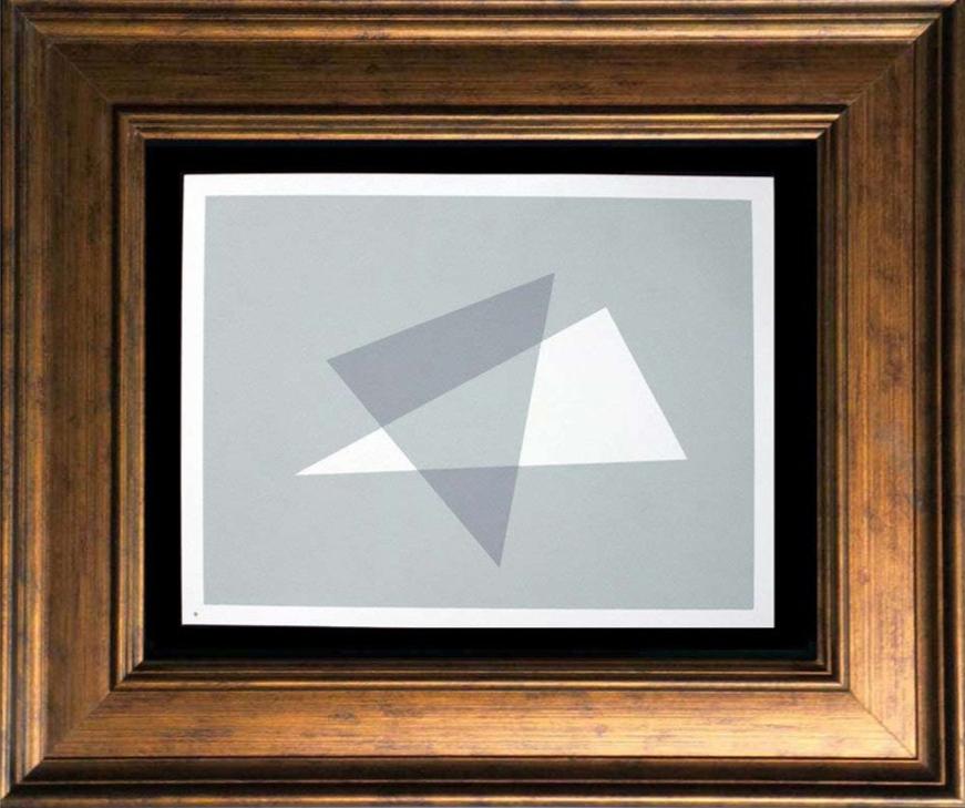 Josef Albers Original Silkscreen [IX-2a] Limited Ed. +++Custom Archival Framing