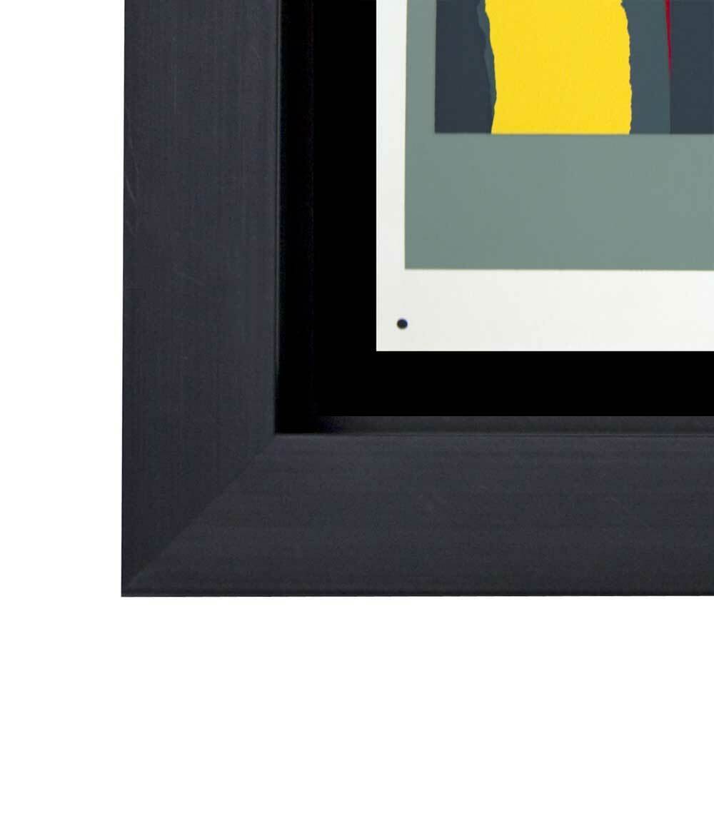 Josef ALBERS Original SILKSCREEN [XVIII-6a] LIMITED Ed. 1963 w/Archival Frame